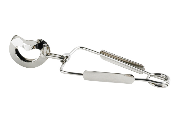 Escargottang zilver set van 2