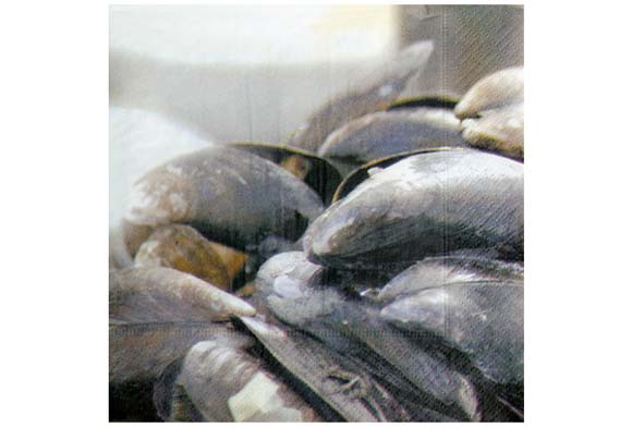 Mossel servetten 33 x 33 cm, set van 20