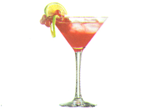 Champagne & Cocktail cocktailglas 21 cl, set van 6, transparant
