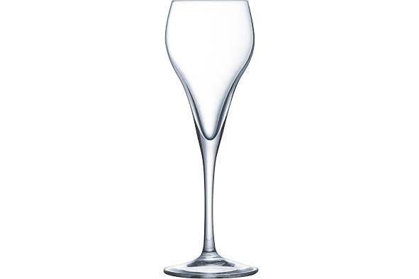 Brio champagneglas set van 6, 95 ml
