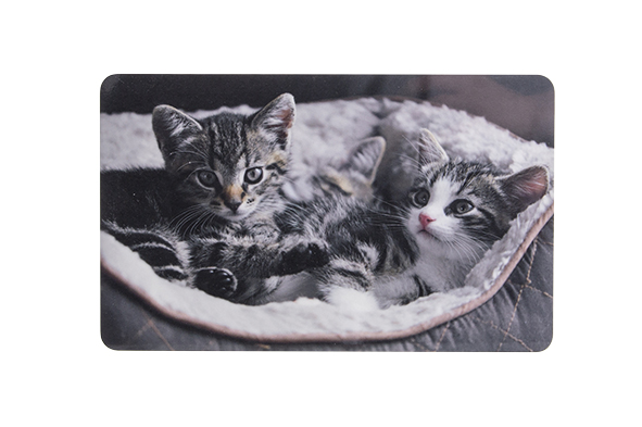 Ontbijtplankje Kittys, kunststof, naturel