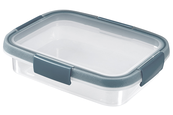 Smart Fresh Eco boîte hermétique gris 0,7 l 21 x 15,8 x 5,3 cm