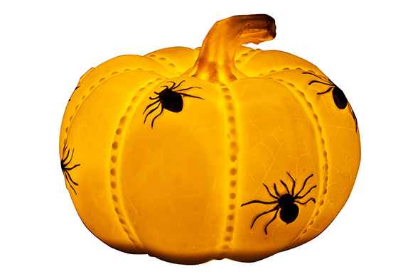 Pompoen spiders LED multikleur, 14,8 x 14,8 x H 11,5 cm
