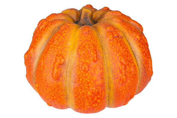 Pompoen Grainy oranje 24,1 x 23,6 x 15,8 cm keramiek