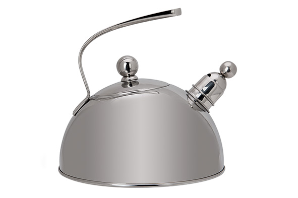 Classic fluitketel 2,5 l Ø 22 cm roestvrij staal
