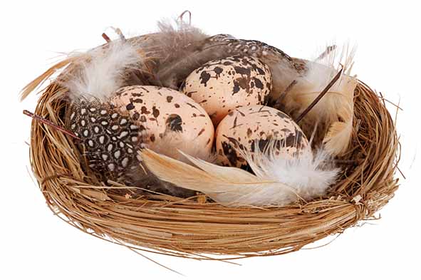 Nest mit Eiern natur 12 x 12 x 4 cm Textil