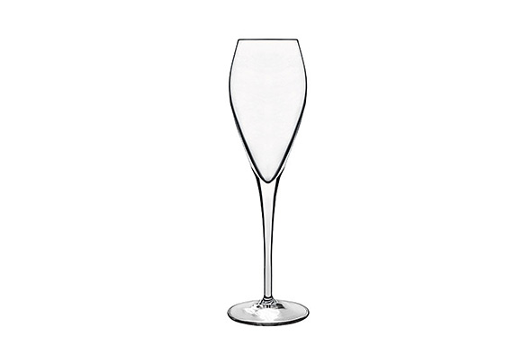 Atelier champagneglas 20 cl set van 6