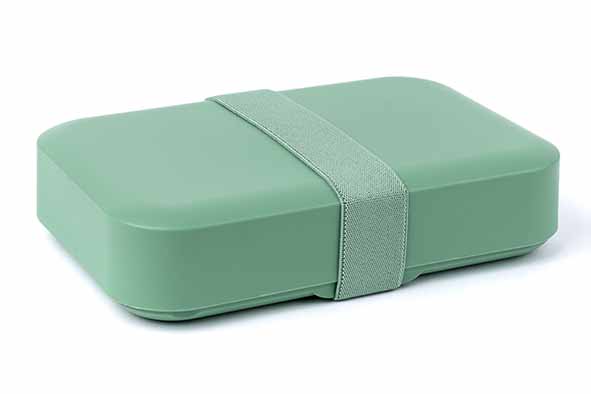 Amuse lunchbox large, saliegroen, 22 x 15 x 5 cm