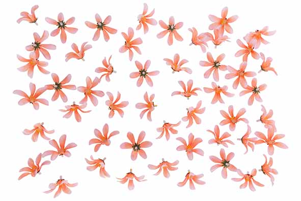 Streudeko Blumen rosa Textil