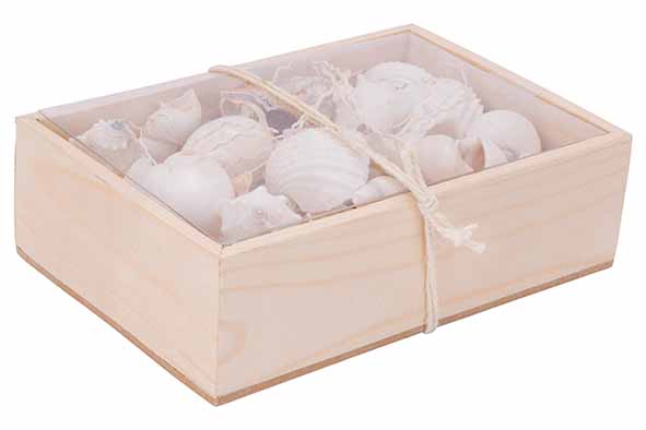 strooideco Sea Shell wit 18 x 12 x 6 cm