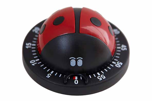 Kookwekker lieveheersbeestje, zwart-rood, Ø 7,6 cm, 4,5 cm hoog
