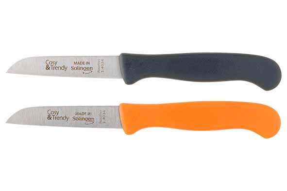 Peeling knife 17 cm set of 2 ss bladeplastic handle pastel colors