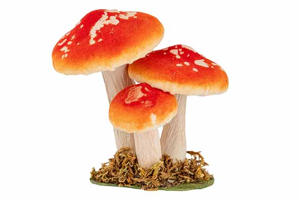 Paddenstoelen oranje 12 x 8,5 x 12 cm fluweel