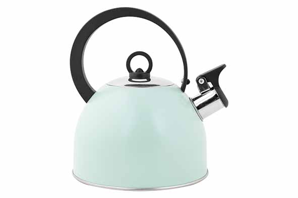 Fluitketel groen 1,7 l Ø 18 x H21,5 cm roestvrij staal nylon handvat
